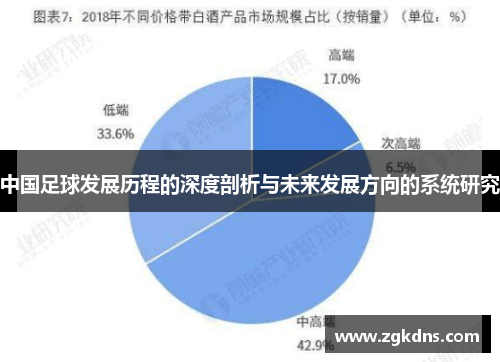 中国足球发展历程的深度剖析与未来发展方向的系统研究