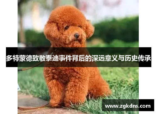 多特蒙德致敬泰迪事件背后的深远意义与历史传承